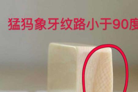 怎么鉴定猛犸象牙和非洲象牙