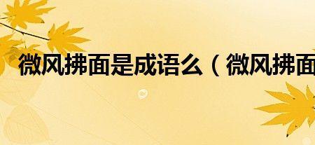 成语什么的拂面