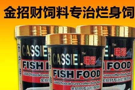 战船鱼吃什么饲料