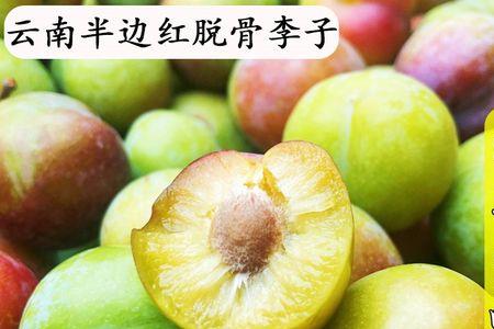 半边红李子种植几年结果