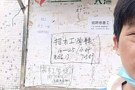 啄木鸟招学徒可靠吗