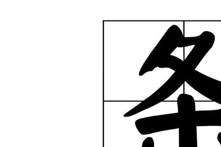 条是什么单位