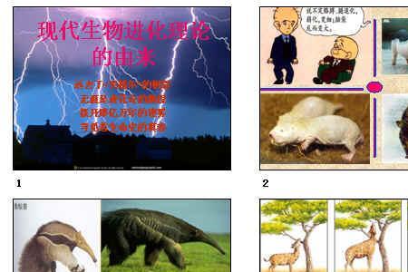 生物进化趋势包括哪三点