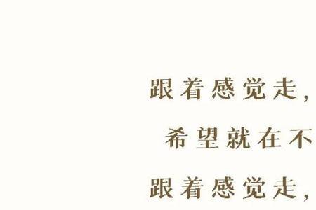 跟着感觉走这首歌是什么意思