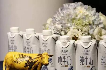 特仑苏新代言人是张柏芝吗
