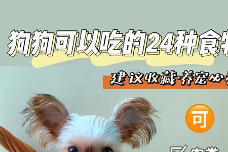 狗可以吃鱼肝吗