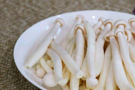 芊菇生物海鲜菇怎么做好吃