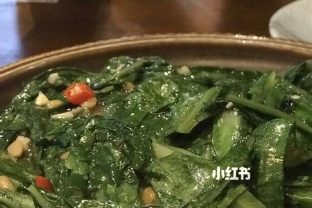 芭菜是什么