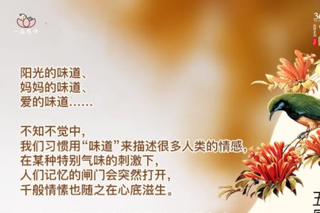 根和解的区别