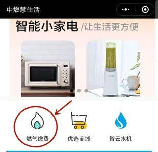 中燃慧生活如何查询缴费记录