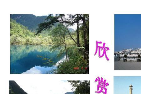 竖直对称是什么意思
