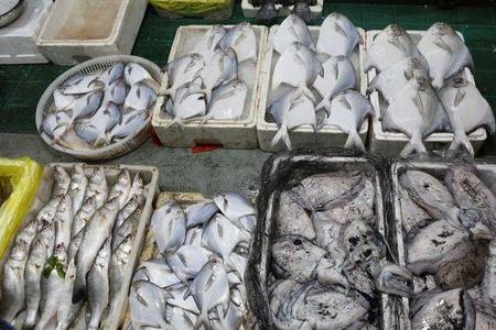摆摊卖海鲜大概需要多少钱