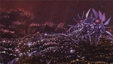 碳基生物是什么动物