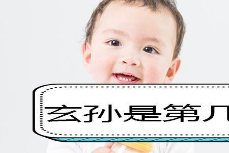 儿子的孙子可以称呼曾孙吗