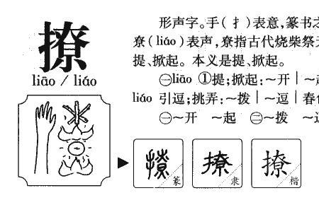 暸的组词