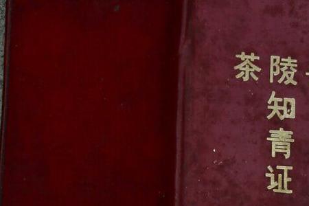 中央对知青有新政策吗