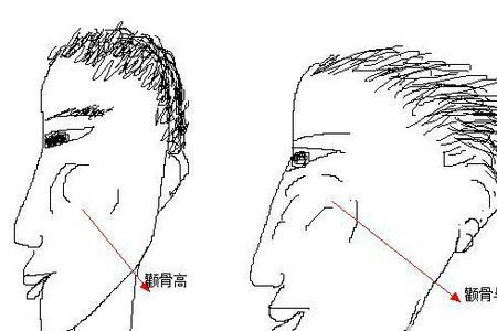 一个鬓上半部一个再读什么