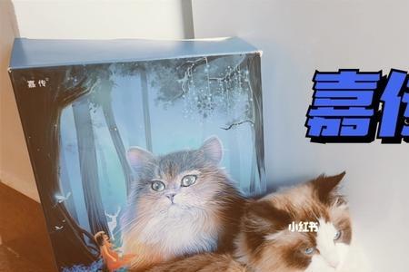 嘉兴大润发有猫粮卖吗