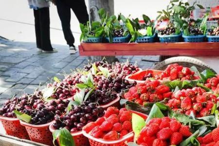 春节后有什么新鲜水果上市