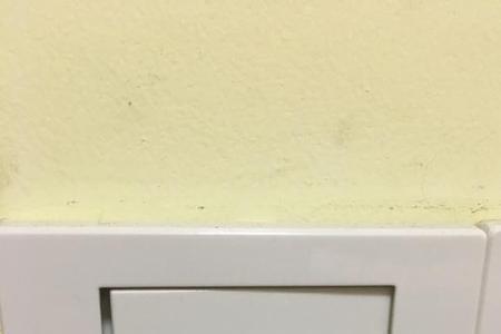 为什么网线插座那么容易坏