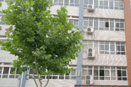 郑航实验高级中学英才班怎么样