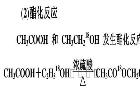 四氢化二氮的电子式图片