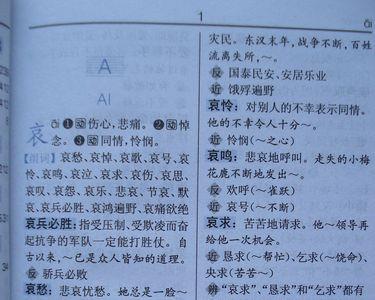 学习体会的近义词