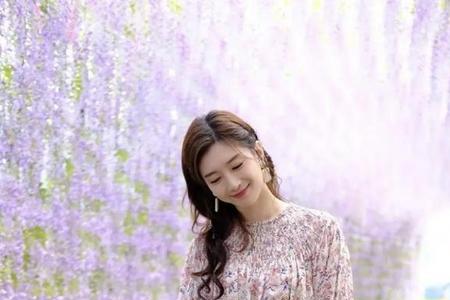 良家淑女是什么意思