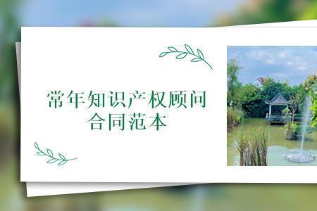 专科的知识产权管理前景如何