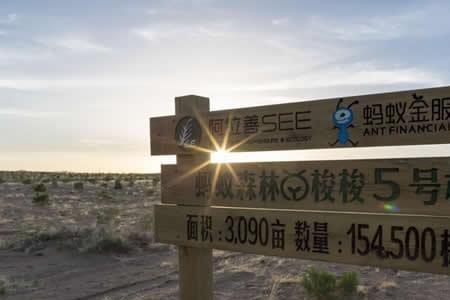 蚂蚁森林住宾馆能产生多少能量