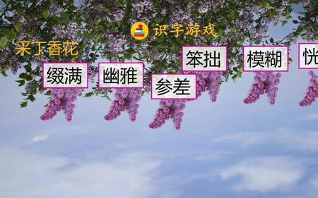 作者赋予了丁香怎样的情感