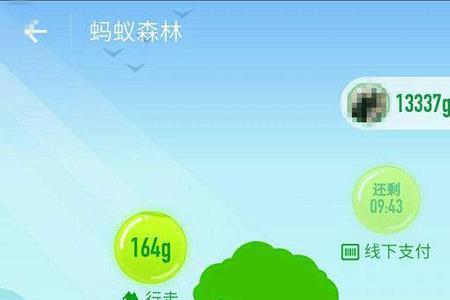 蚂蚁森林背景怎么有河流