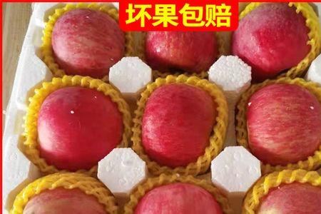 山东水果品种数量