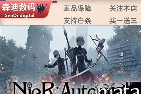 switch尼尔机械纪元支持双人吗