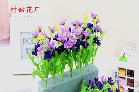 鲜花插入花泥缺水怎么办