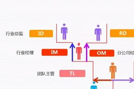 生产管培生是做什么的