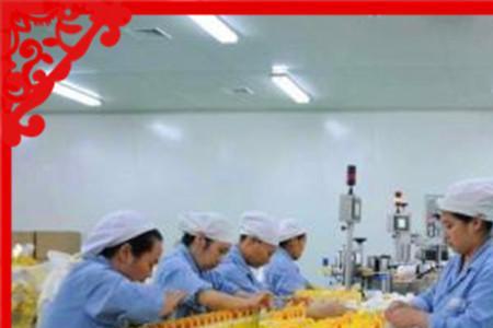 食品加工属于消费类吗