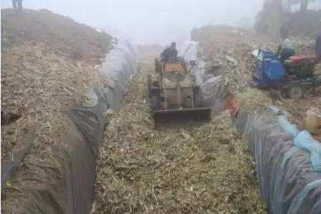红小豆秸秆可以喂羊吗