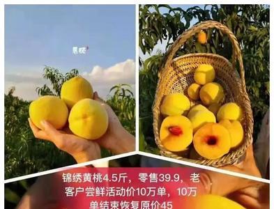 蒙阴黄桃和锦绣黄桃的区别