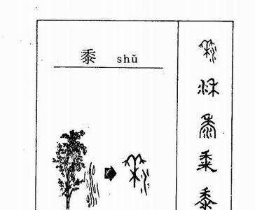 .半字的起源与演变