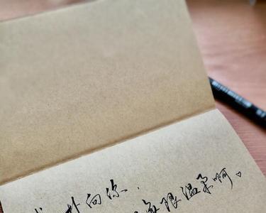 唯有泪两行的全诗