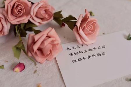徐志摩的认识你真好是写给谁的