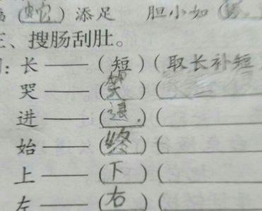 真是 组词对吗