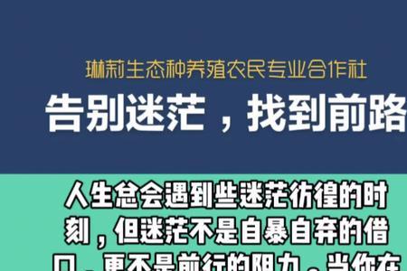 前路迷茫的意思