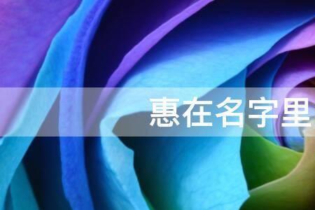 家慧的名字含义