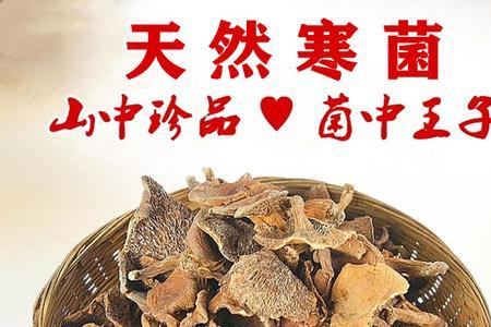 湖南最大寒菌产地
