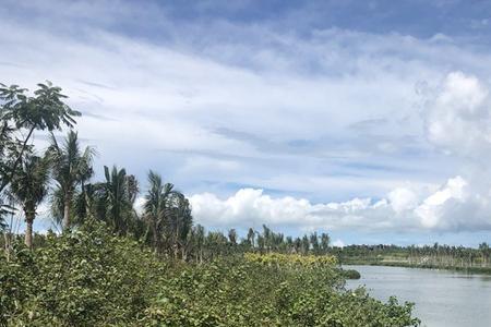 生态面貌什么意思
