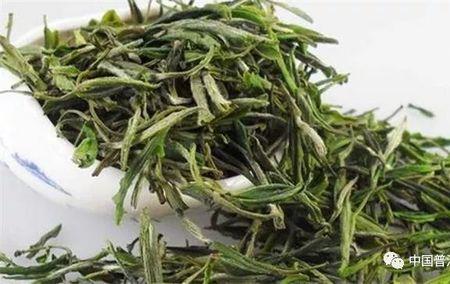 竹安白茶的特点