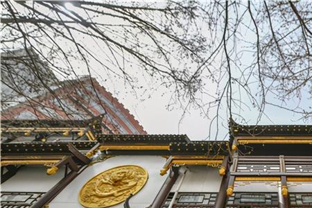 济南大观园的建造者