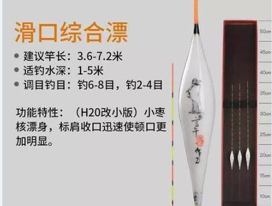 言午浮漂和达摩是一家吗